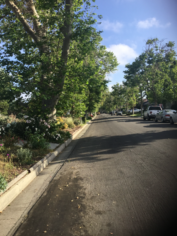 4339 Heather Rd - Photo 4 of 20