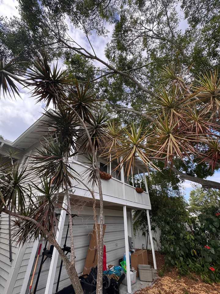 508 1/2 12th Ave N - Photo 4 of 31