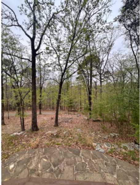 2203 Stewart Rd - Photo 6 of 30