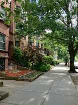 1061 Beacon St #BK - Photo 1 of 1