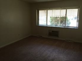 shore - Photo 1 of 1