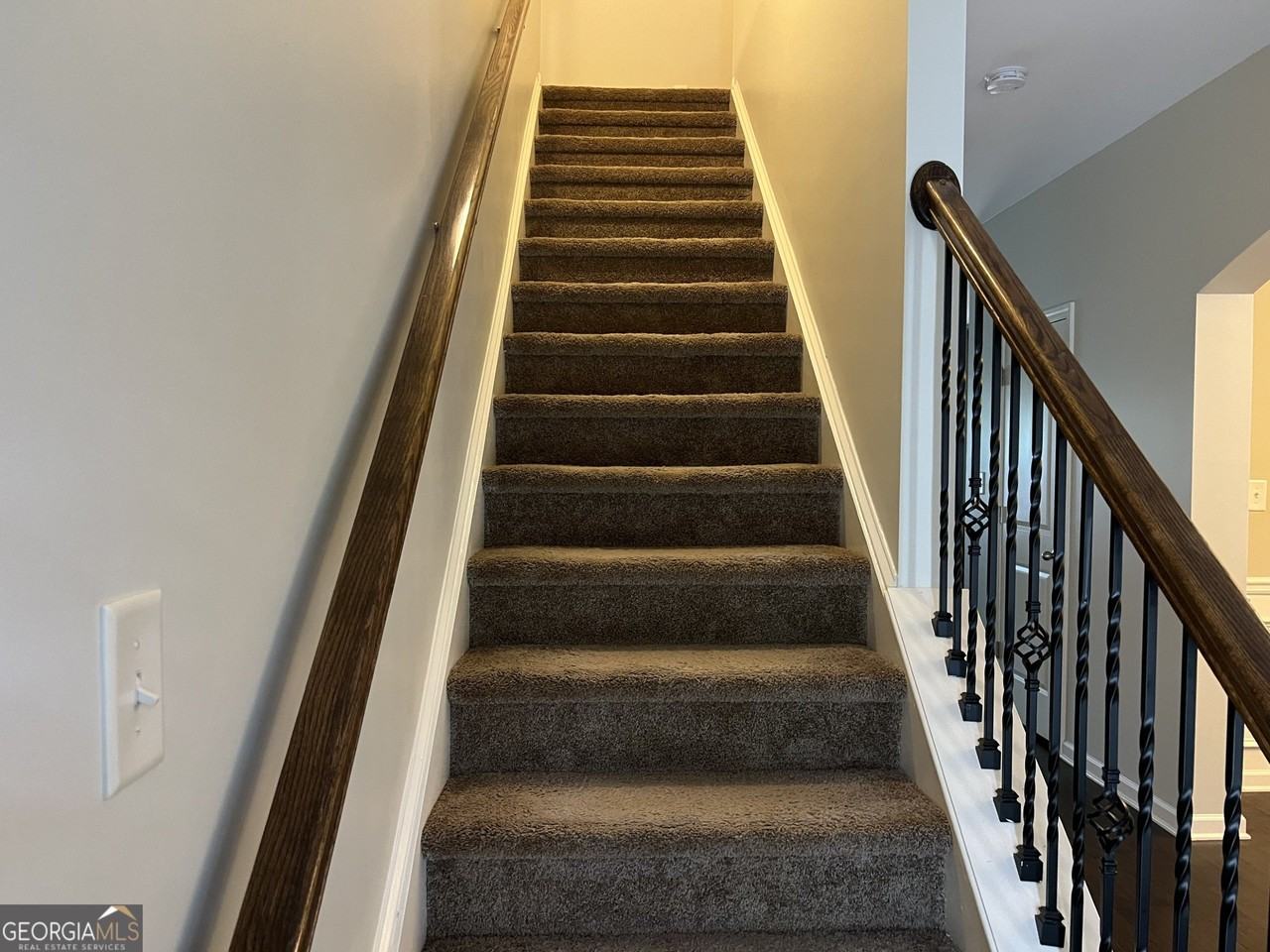 204 Dog Fennel Ln - Photo 3 of 25