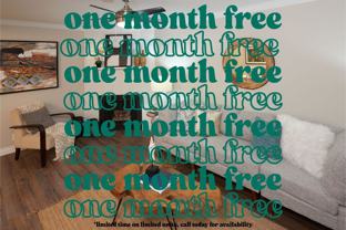 Mary Kaye - Photo 1 of 1