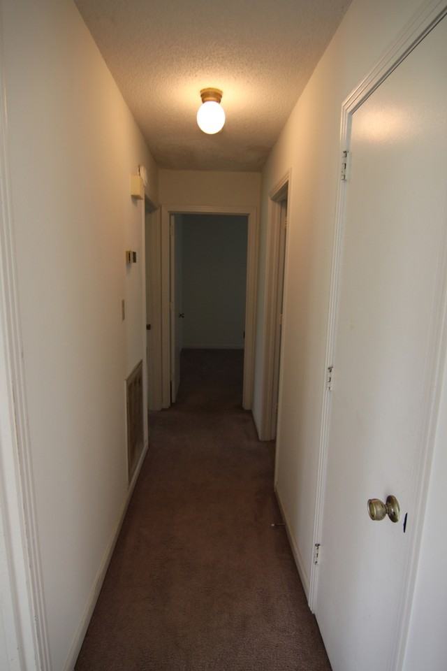 397 Elaine Dr - Photo 7 of 23