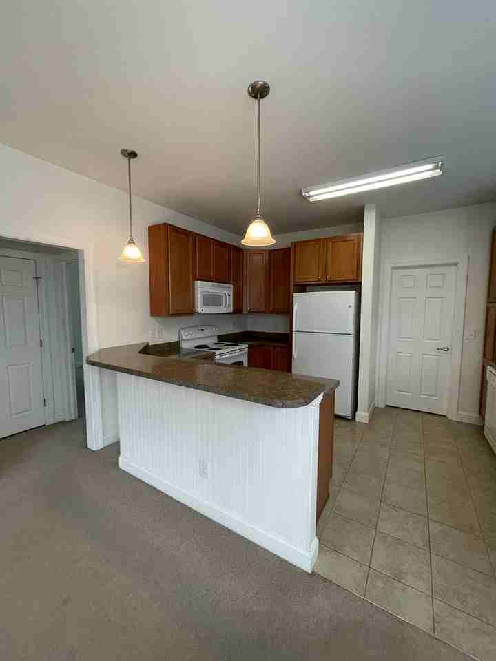 605 Viccars Ln - Photo 6 of 14