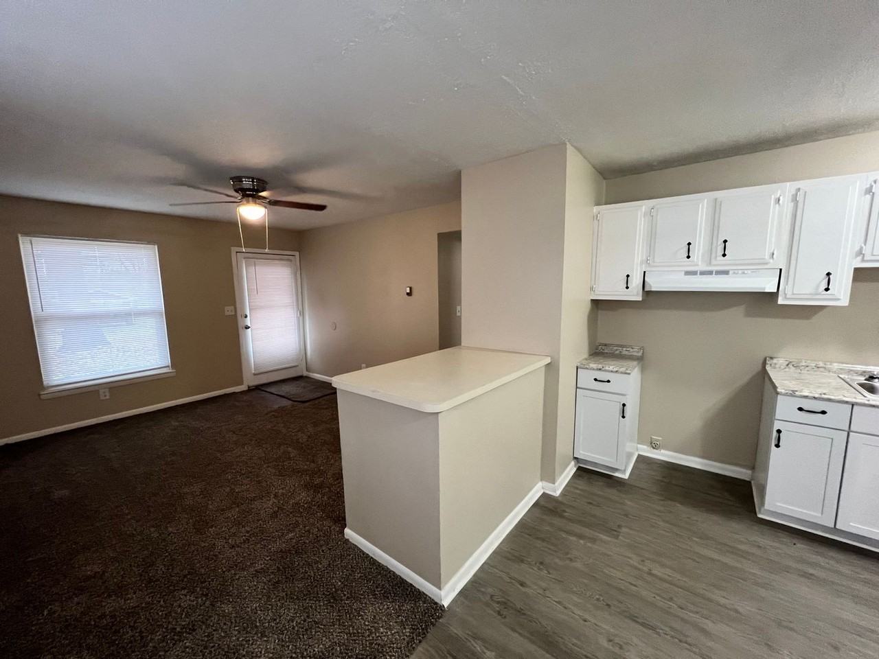 148 Orchid Ct - Photo 4 of 18