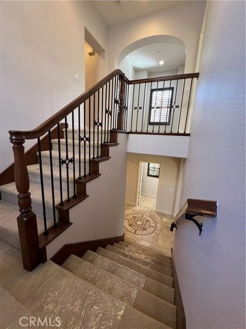 27 Tree Clover - Photo 5 of 8