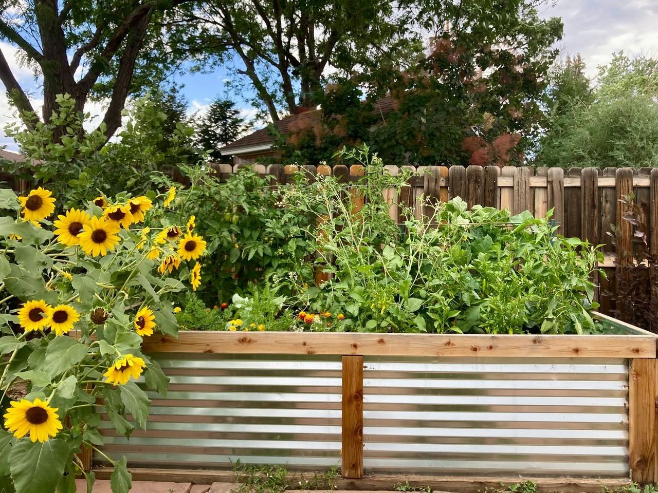 1500 Ashcroft Dr - Photo 2 of 33