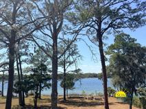 1019 Christy Dr - Photo 1 of 1