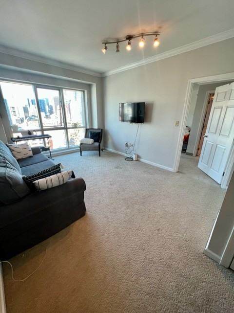 Nassau Street - Photo 2 of 21