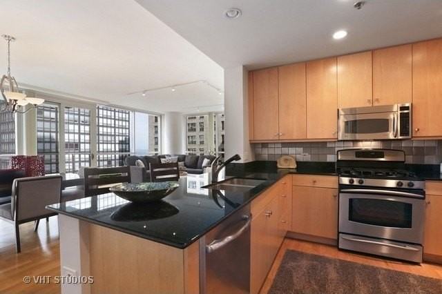 250 E Pearson St #1006 - Photo 5 of 16