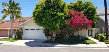 featured image of 91 Nighthawk