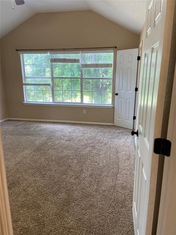 613 Night Hawk Dr - Photo 5 of 16