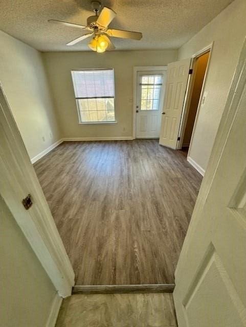 2820 Saw Palmetto Ln - Photo 5 of 13