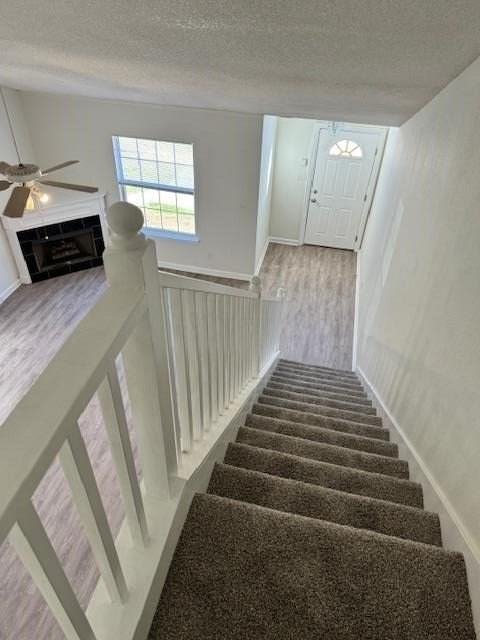 2820 Saw Palmetto Ln - Photo 6 of 13