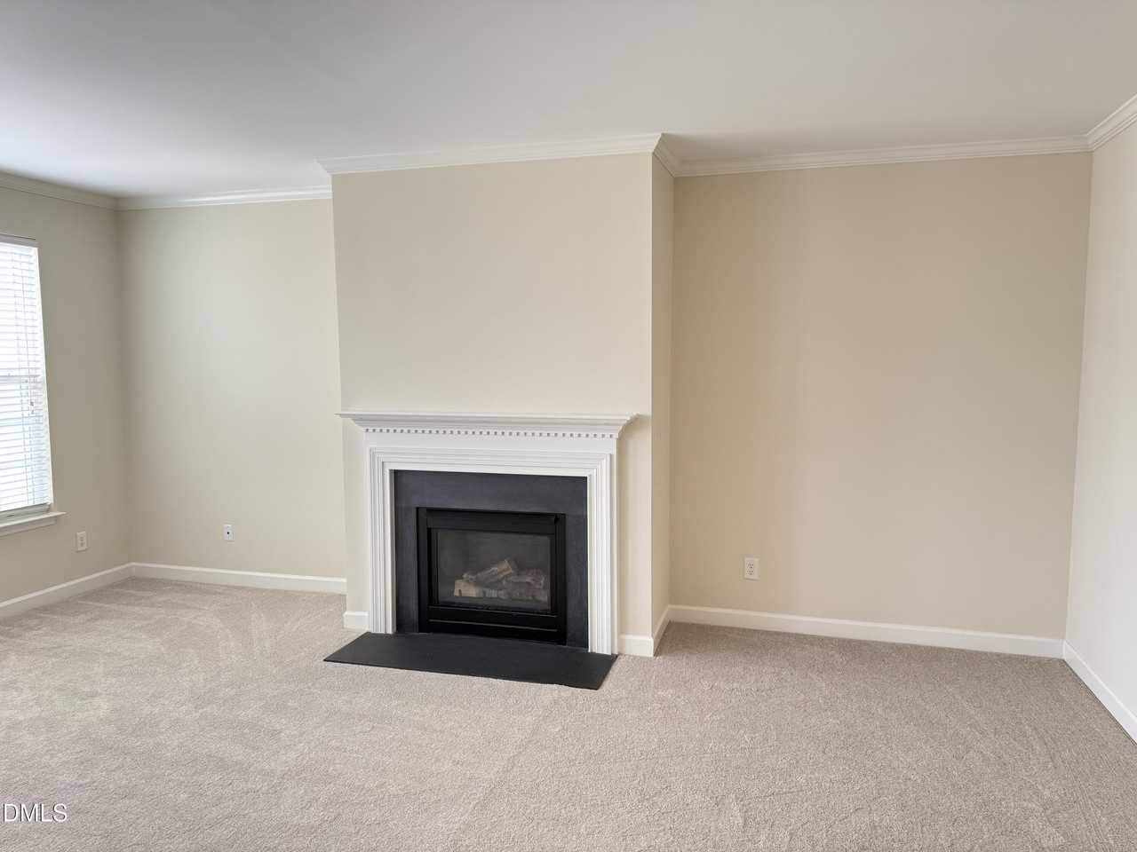 247 Grenoch Valley Ln - Photo 3 of 26