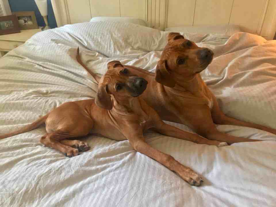 Heritage Blvd - Photo 5 of 5