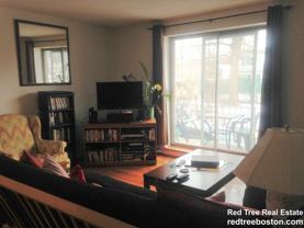 804 Centre St #101 - Photo 1 of 1