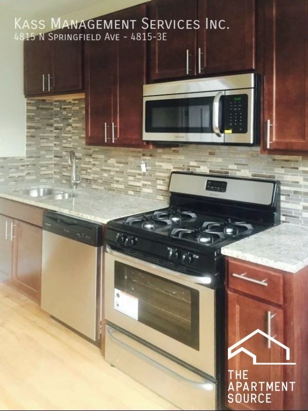 4815 N Springfield Ave #3E - Photo 2 of 9