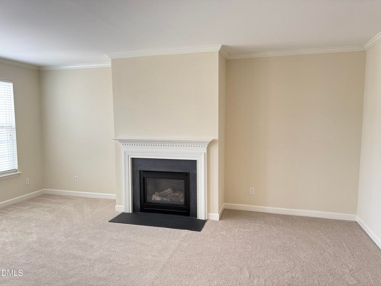 247 Grenoch Valley Ln - Photo 3 of 26