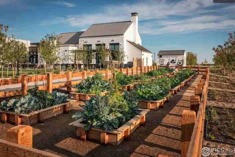 6328 Deerfoot Dr #6328 - Photo 4 of 21