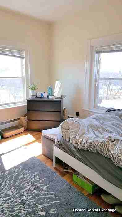 545 Somerville Ave #6 - Photo 7 of 13