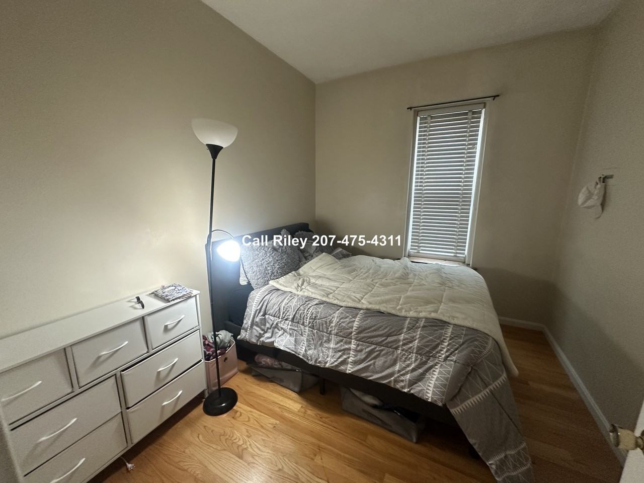 1427 Commonwealth Ave #205 - Photo 6 of 12