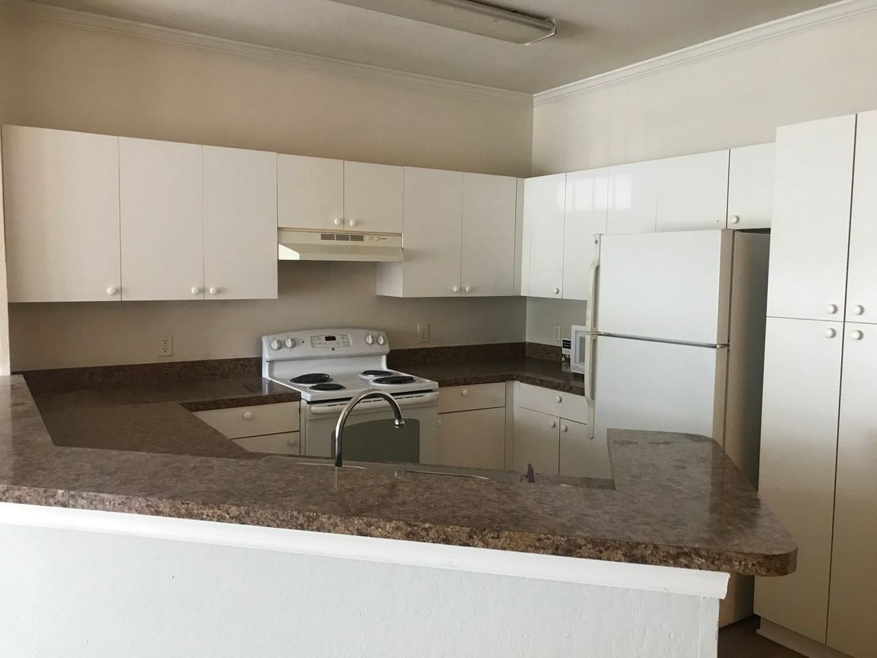 3621 Conroy Rd - Photo 2 of 13