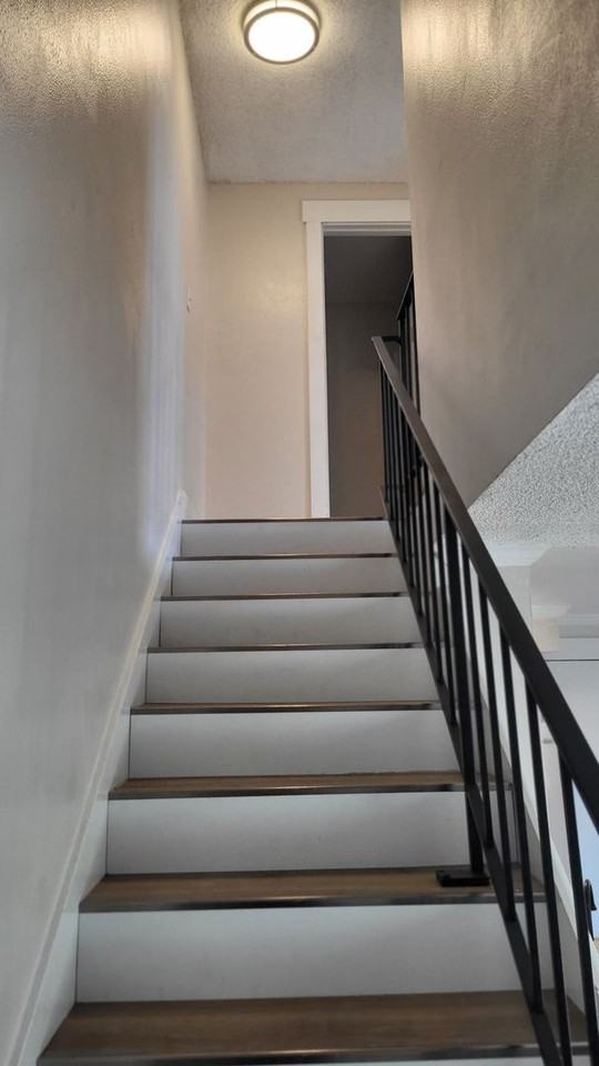 newly updated 2 bed 1 bath apartment in North Auburn $1775 - Photo 5 of 14