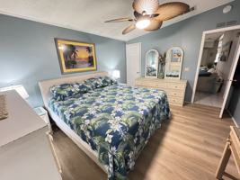 featured image of 706 Oleander Cir #NA