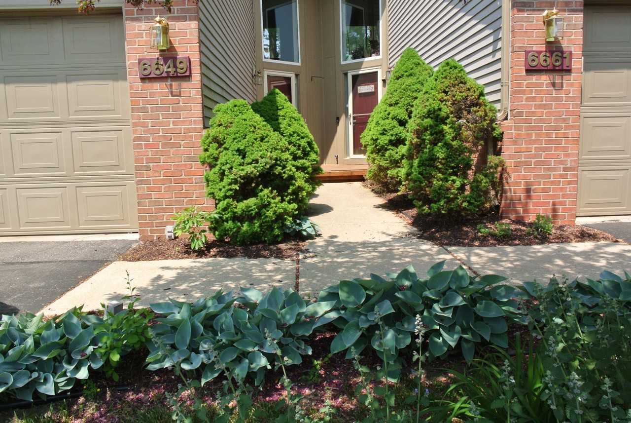 6649 Quail Run Cir #6649 - Photo 2 of 39