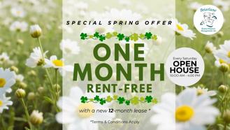 53 McMurchy Avenue North - Photo 1 of 1