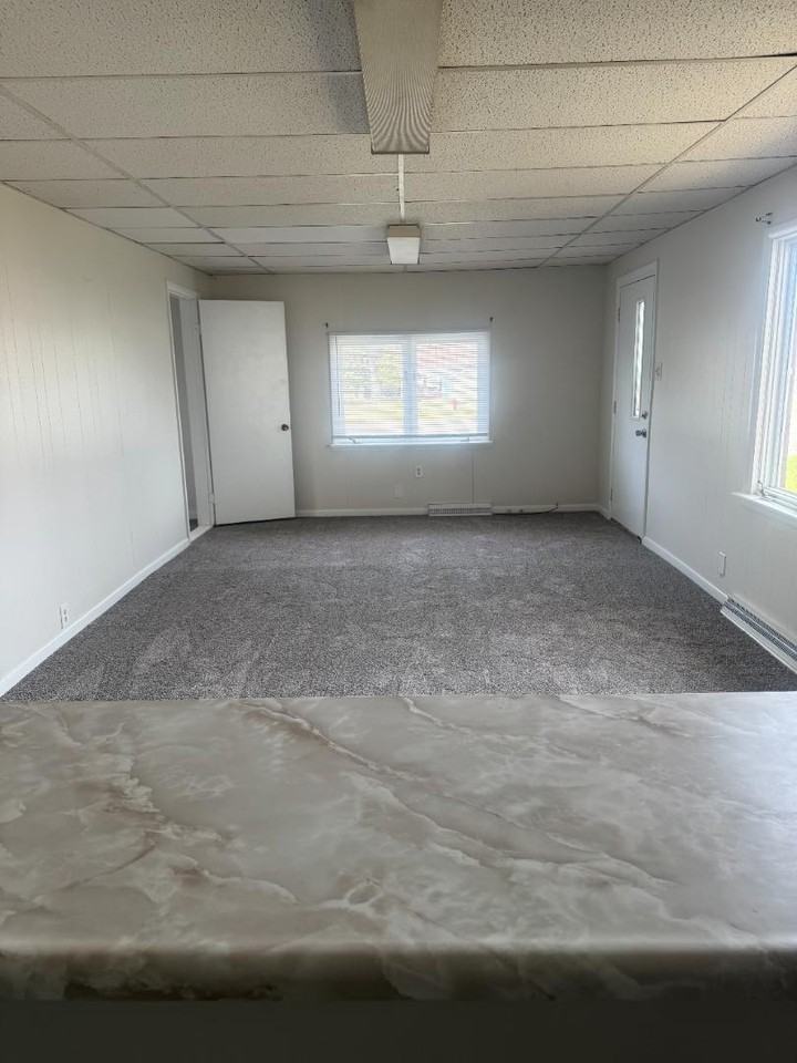 925 W Buffalo St - Photo 7 of 20