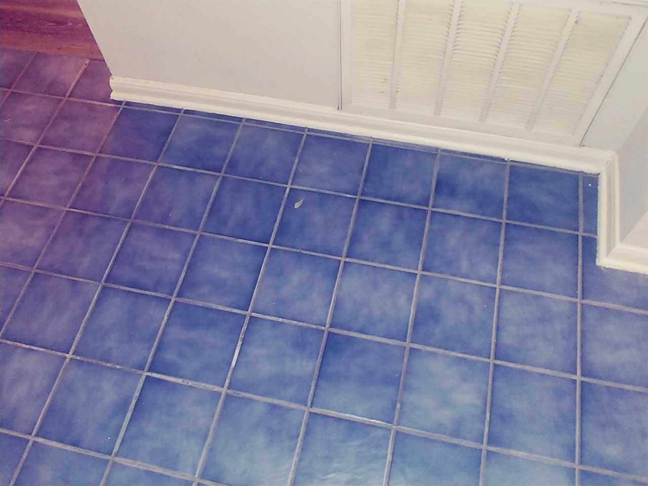 211 Wild Buffalo Dr #1 - Photo 3 of 14