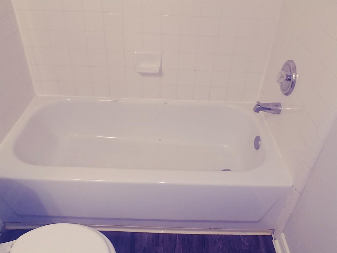 211 Wild Buffalo Dr #1 - Photo 4 of 14