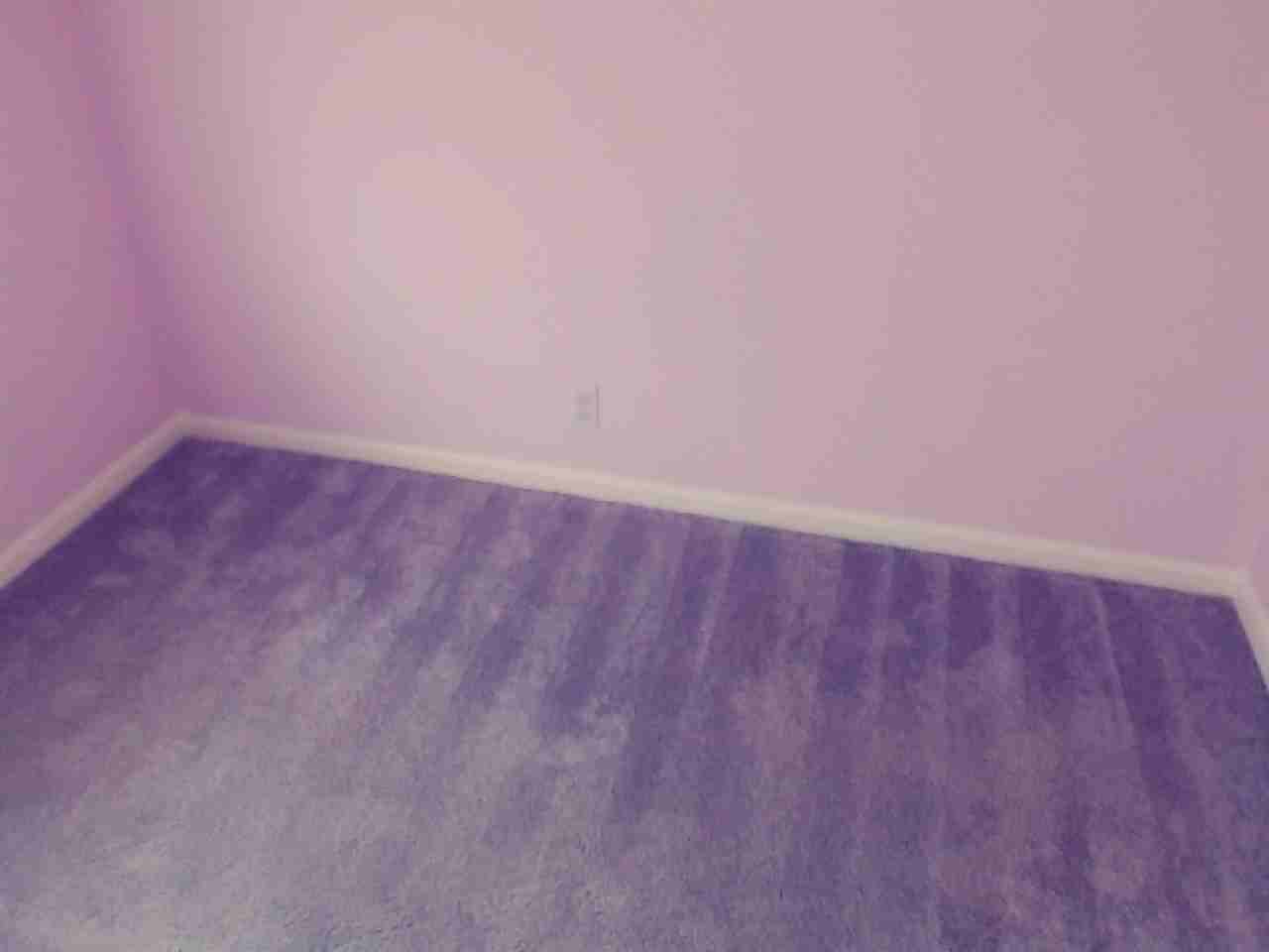 211 Wild Buffalo Dr #1 - Photo 6 of 14