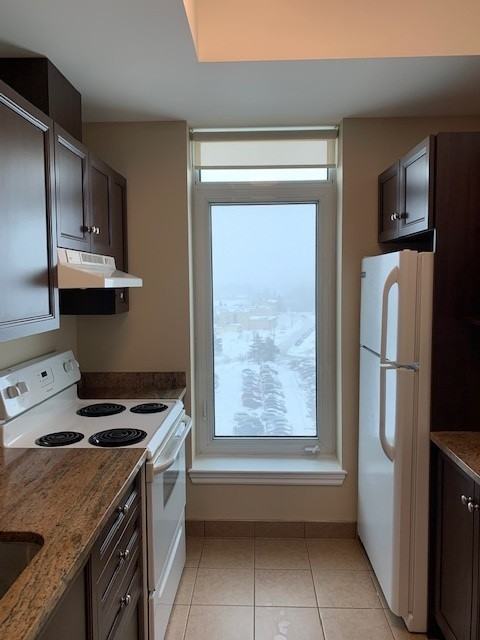 100 Roger-Guindon Ave - Photo 6 of 17