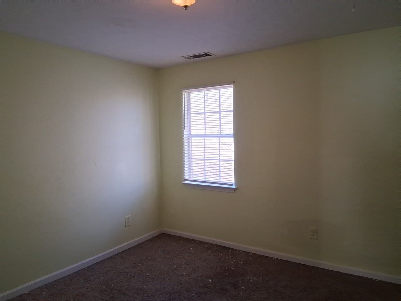 209 E Wilson St #1 - Photo 3 of 9