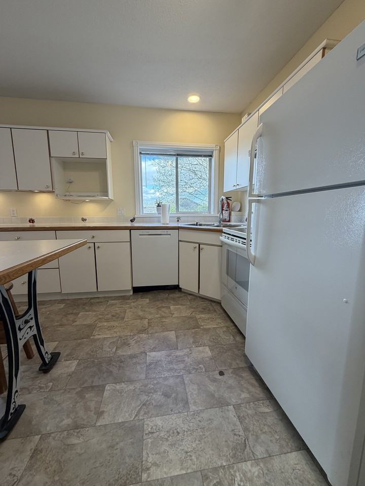 2695 St Gallen Way Bsmt #BS - Photo 3 of 18