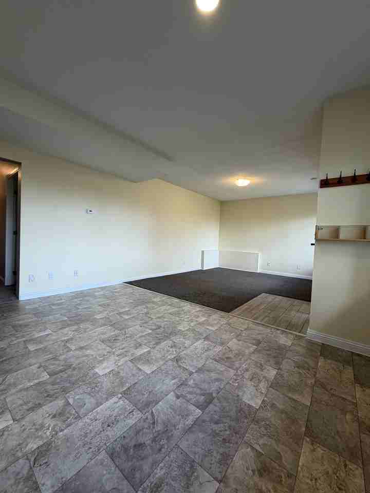 2695 St Gallen Way Bsmt #BS - Photo 6 of 18