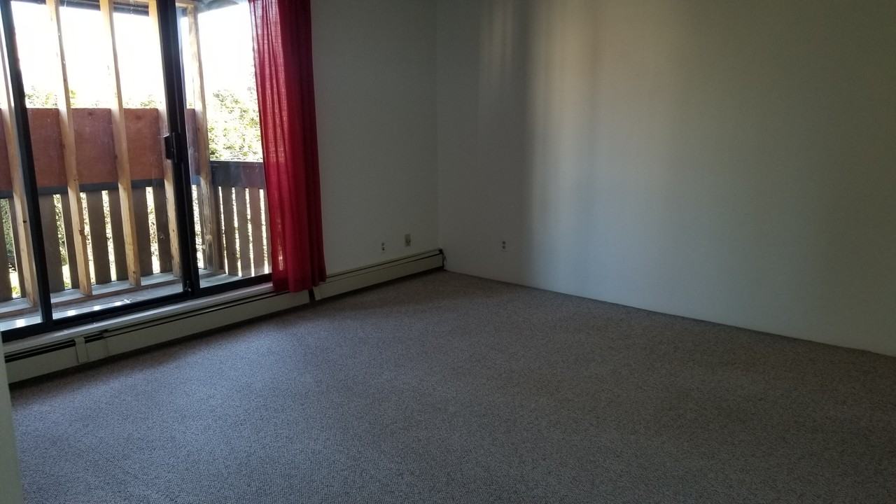 3663 16th Ave W #203 - Photo 3 of 11