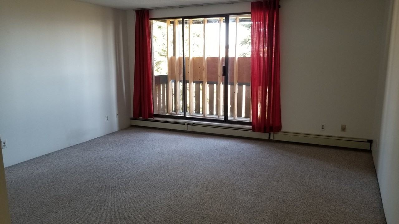 3663 16th Ave W #203 - Photo 6 of 11