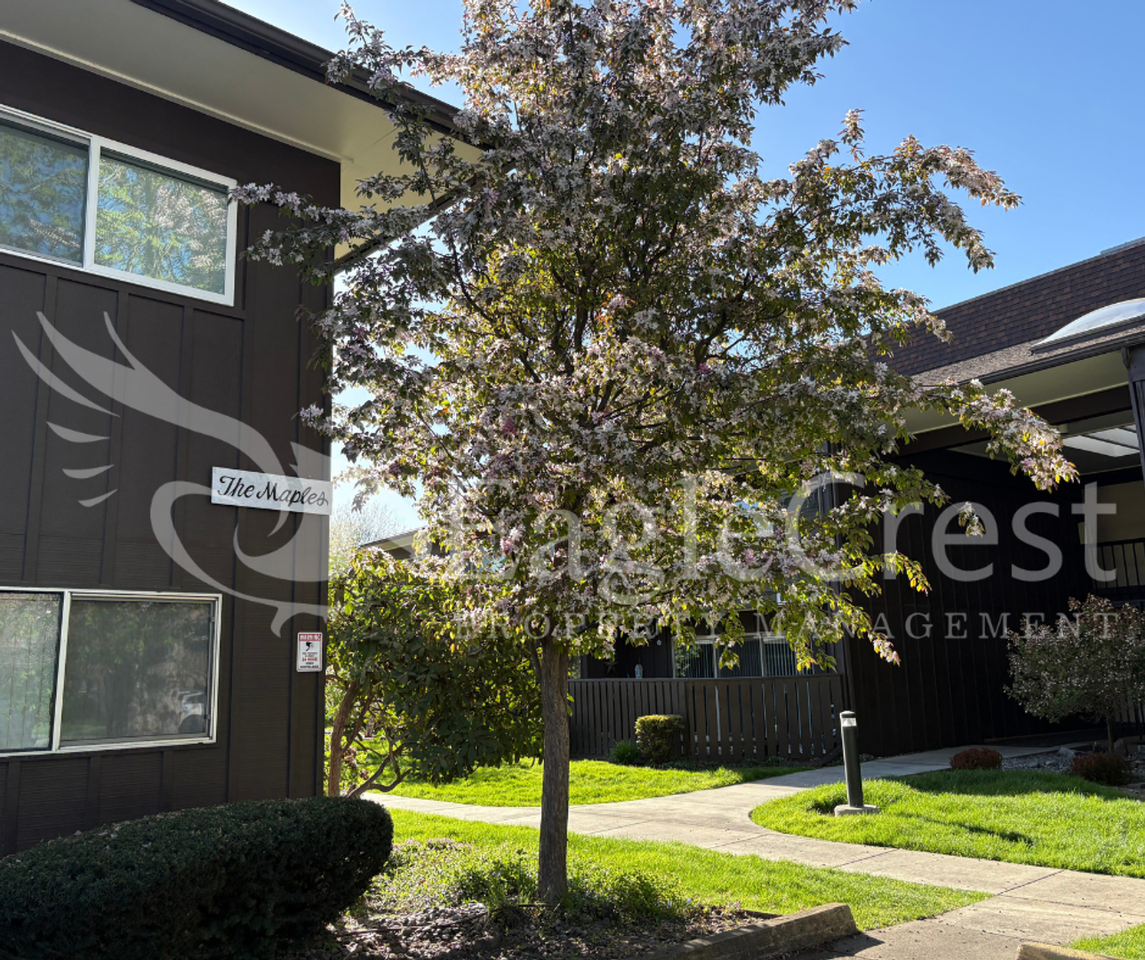 364 Catherine St #M1 - Photo 3 of 50