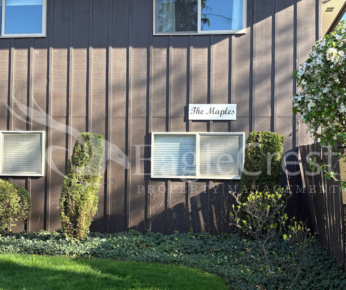 364 Catherine St #M1 - Photo 4 of 50
