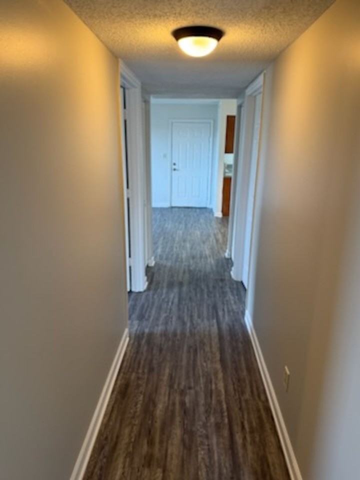 3404 Dill St #401 - Photo 7 of 10