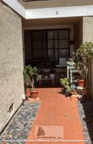 6 Marigold - Photo 1 of 1