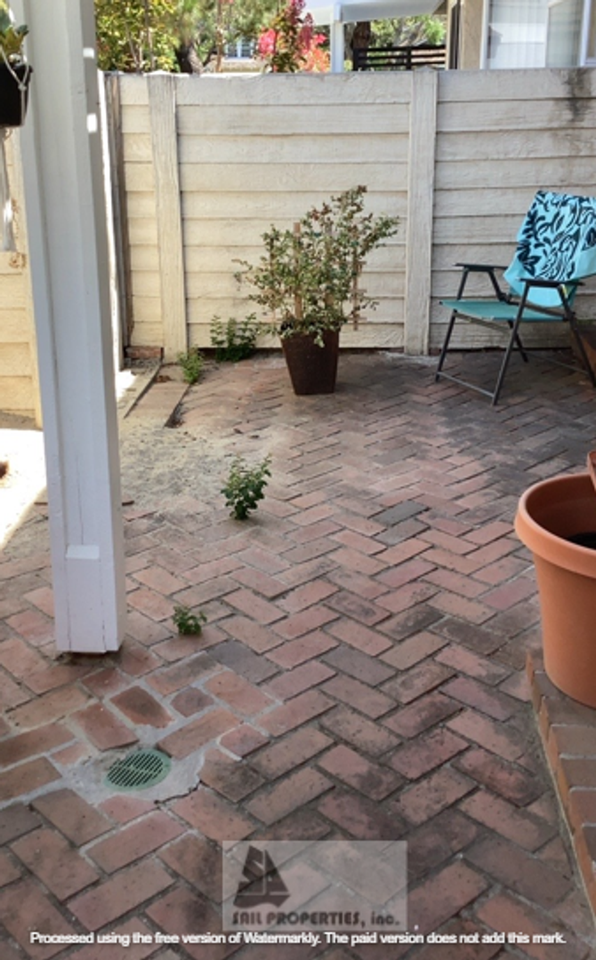 6 Marigold - Photo 7 of 9