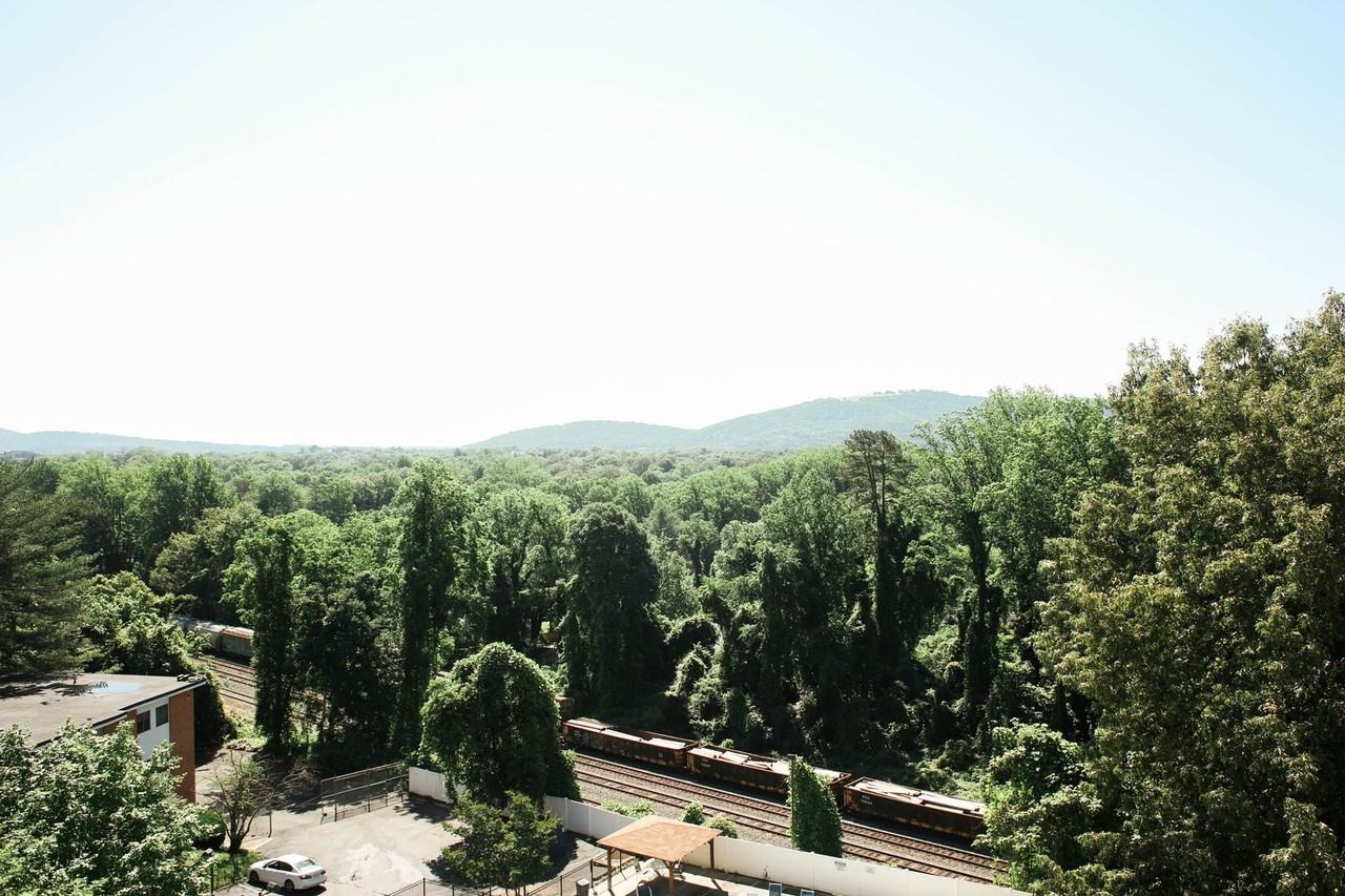 1800 Jefferson Park Ave #909 - Photo 5 of 6