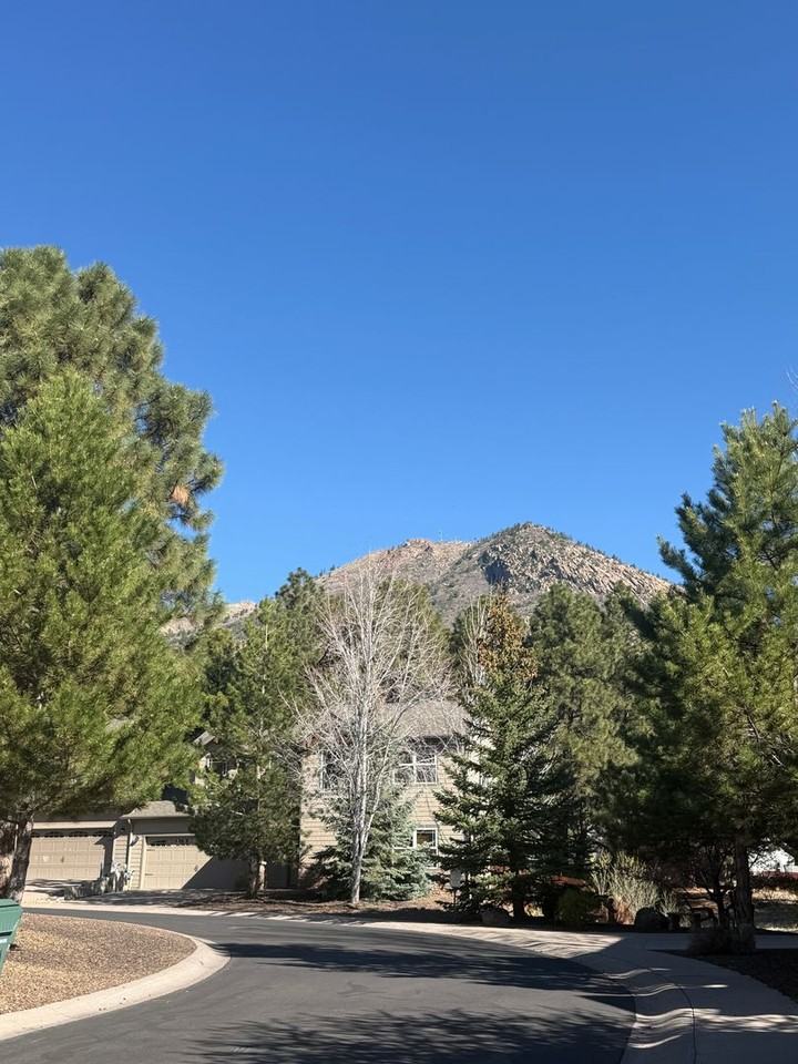 3844 Jacamar Dr - Photo 2 of 13