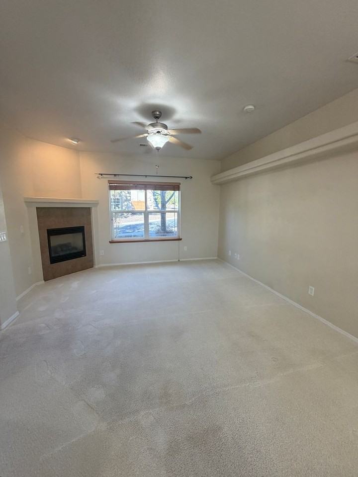 3844 Jacamar Dr - Photo 7 of 13